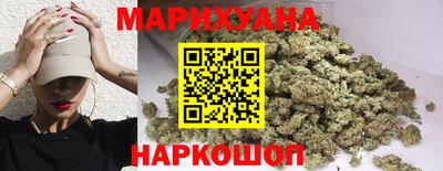 сатива Кандалакша