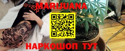 сатива Кандалакша