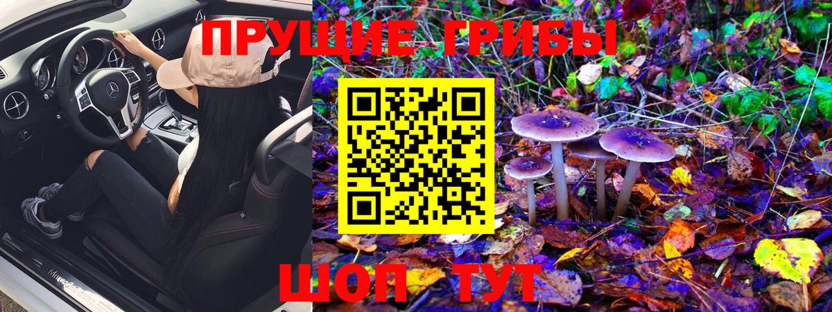 Галлюциногенные грибы Psilocybe Кушва