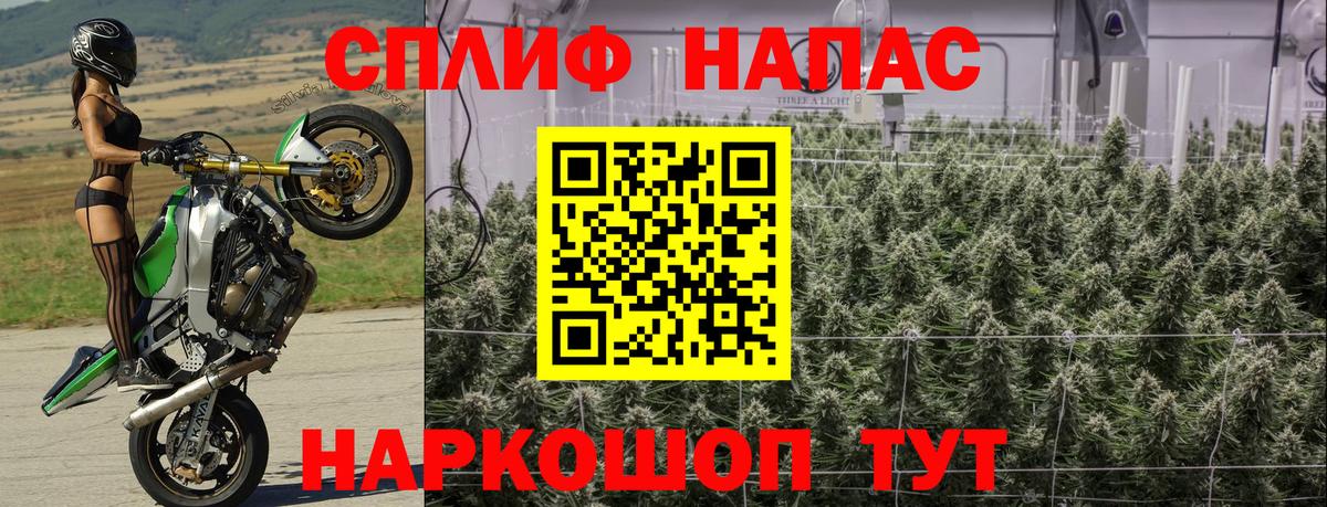 Бошки Шишки семена Кушва
